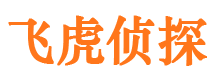 迎江市婚外情调查